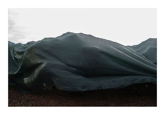Arificial Landscape 03 by Tarek Haddad contemporary artwork Print