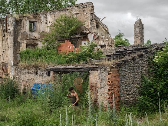 Aurora Looking for Painted Lady Caterpillars Spain by Lucas Foglia contemporary artwork Print