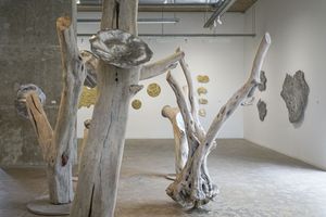 Ghassan Zard