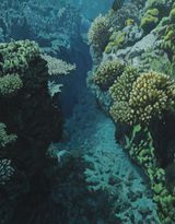 Underwater Corridor by Bruno Gadenne contemporary artwork painting