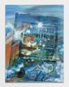 Practical Doomsday by Jessica Taylor Bellamy contemporary artwork Painting