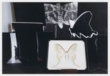 TimeFlightMoth by Michelle Stuart contemporary artwork photography