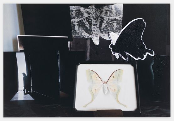 TimeFlightMoth by Michelle Stuart contemporary artwork Photography