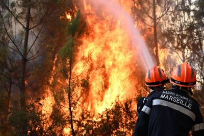 A Devastating Blow A French Villages Artists on Losing Their Creative Home to the Wildfires