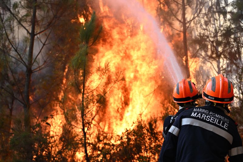 A Devastating Blow A French Villages Artists on Losing Their Creative Home to the Wildfires