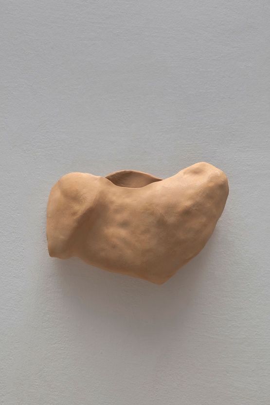 Studies for potential metamorphoses I by Yasam Sasmazer contemporary artwork Sculpture