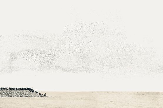 The Lines We Draw III Towards Alaska by Robert Zhao Renhui contemporary artwork Photography