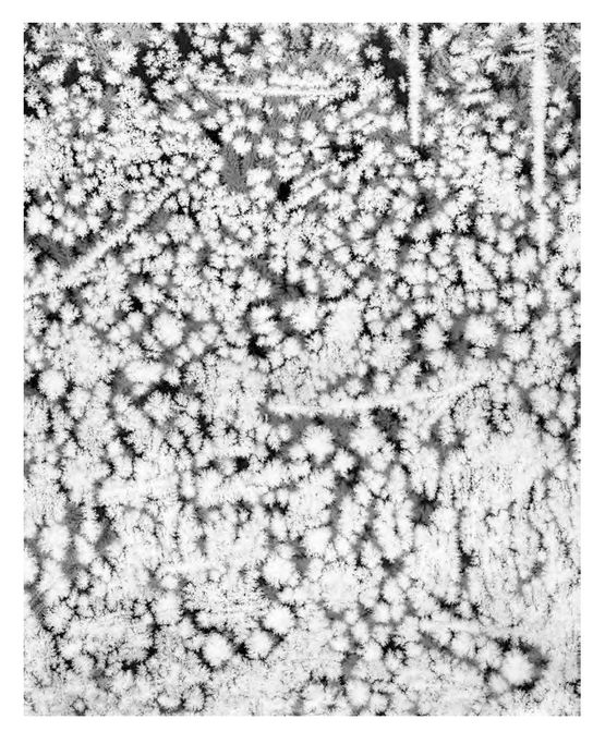 Crystals XI by Tomoko Yoneda contemporary artwork Photography