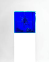Uncomputables by Agnieszka Kurant contemporary artwork sculpture