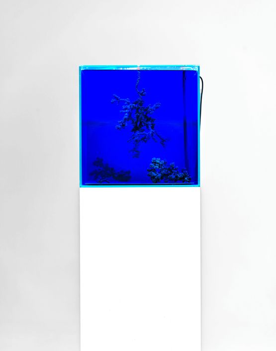 Uncomputables by Agnieszka Kurant contemporary artwork Sculpture