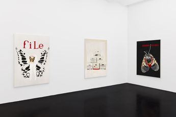 Contemporary art exhibition Frances Stark Orders to Kill at Galerie Buchholz Cologne Germany