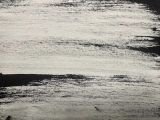 Notes on Blackness Landscapes by Chuma Adam contemporary artwork works on paper