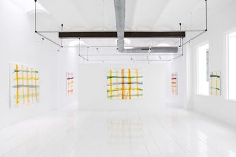 Contemporary art exhibition Alexander Wertheim Emporda Paintings at Alzueta Gallery Seneca Spain