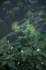 Leave all compromises behind From Beirutopia series by Randa Mirza contemporary artwork photography