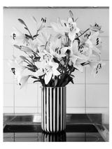 o.T. 8 by Benjamin Katz contemporary artwork photography