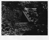 Untitled by Takuma Nakahira contemporary artwork photography