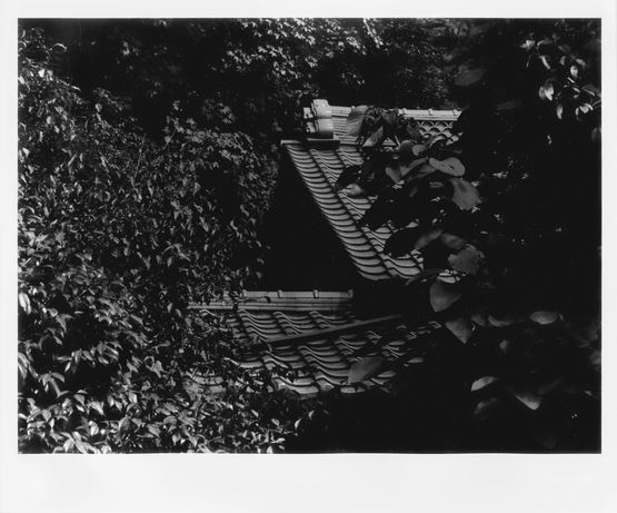 Untitled by Takuma Nakahira contemporary artwork Photography
