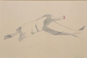 Lim Nosik contemporary artist