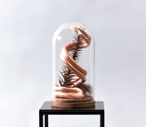 Curiosity with Bundanon Bunya by Caroline Rothwell contemporary artwork Sculpture