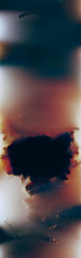 Bruissement 9 by Anne Noble contemporary artwork photography