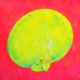 NOPE. Boys Dont Cry. by Clasutta contemporary artwork painting