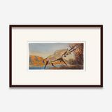 Study for Euphrates by Walton Ford contemporary artwork works on paper