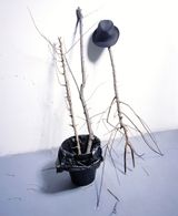A Strange Respectable Dirty and Weird Ending by Chen Xiaoyun contemporary artwork photography