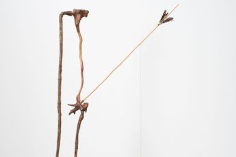 Advanio Lessa contemporary artist