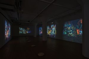 Wang Chen