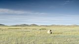 Kiss the Earth by Charwei Tsai contemporary artwork moving image