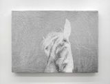 Like velvety scars by Luca Campestri contemporary artwork print