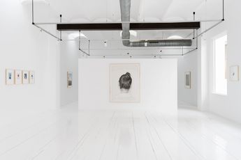 Contemporary art exhibition Ivan Franco Fraga One and Three Polaroids at Alzueta Gallery Seneca Spain
