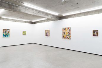 Contemporary art exhibition Priscilla Rose Howe Roosting at Jhana Millers Wellington New Zealand