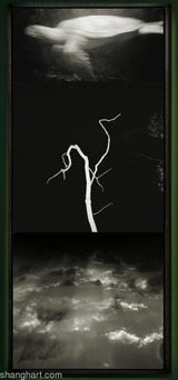 For a Bigger Photo 2015-6 by Birdhead contemporary artwork photography