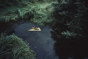 Chen Xiaoyun