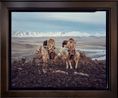 Dalaikhan Erjan Kazakh Altai Mountains Mongolia by Jimmy Nelson contemporary artwork Photography