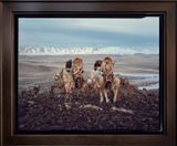 Dalaikhan  Erjan Kazakh  Altai Mountains  Mongolia by Jimmy Nelson contemporary artwork photography print