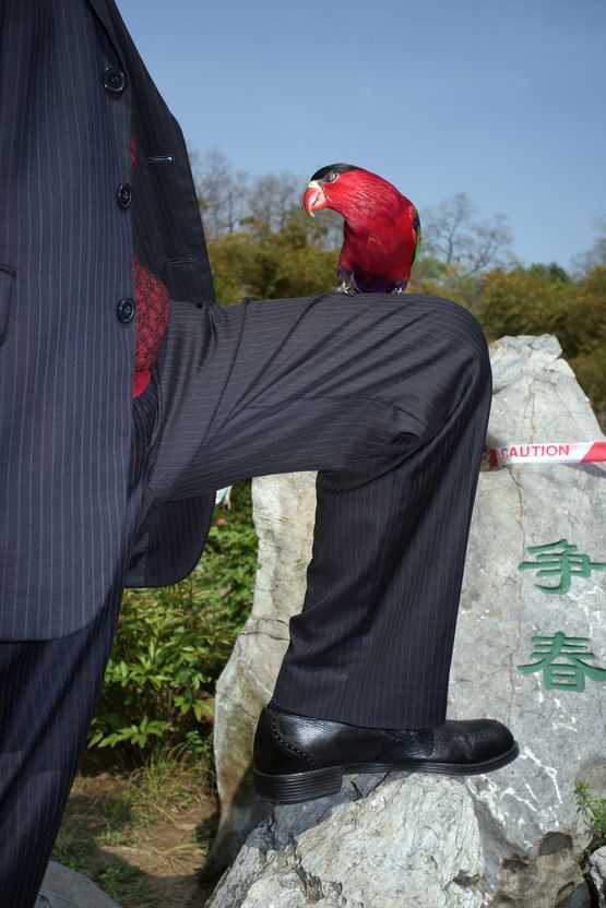Men and Bird by Feng Li contemporary artwork Photography