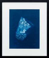 Earthly Perseids by Itamar Gov contemporary artwork photography