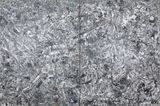 Untitled Dyptichon by Christian Eisenberger contemporary artwork painting