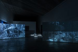 Chen Xiaoyi