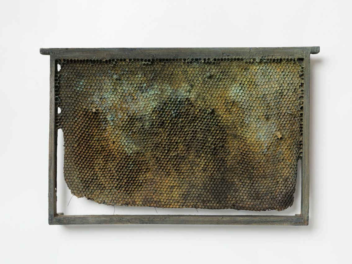 KRIS MARTIN