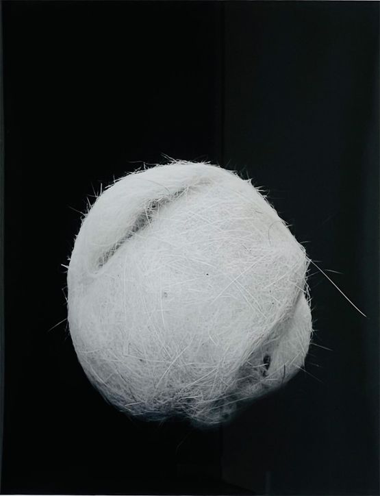 Untitled Sculpture Series by Marie Shannon contemporary artwork Photography