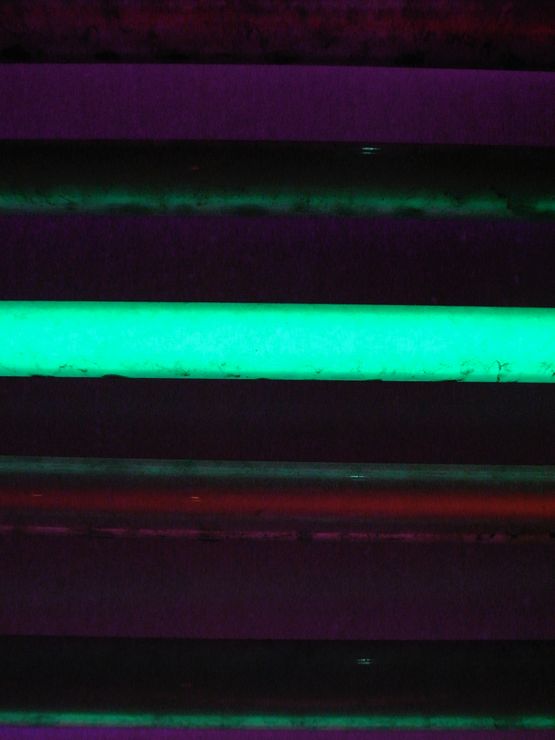 Psychedelic Bamboo 02 by Feng Yan contemporary artwork Photography