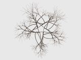 Untitled S.845 Wall-Mounted Tied-Wire Open-Center Five-Branched Form Based on Nature by Ruth Asawa contemporary artwork sculpture