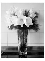 o.T. 4 by Benjamin Katz contemporary artwork photography