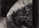 A-rebours by Julien Segard contemporary artwork Painting