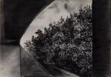 A-rebours by Julien Segard contemporary artwork drawing painting works on paper