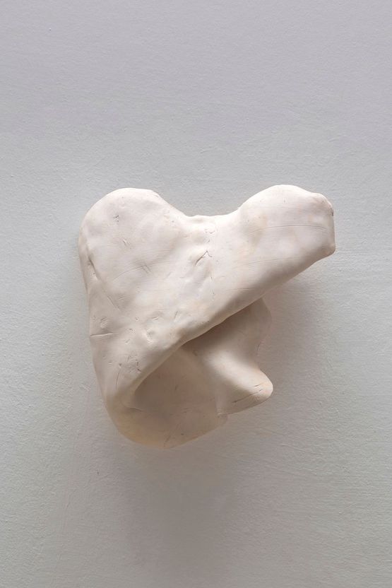Studies for potential metamorphoses XXXII by Yasam Sasmazer contemporary artwork Sculpture