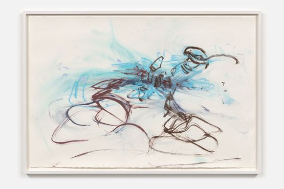 Water drawings 6 by Janaina Tschape contemporary artwork Painting